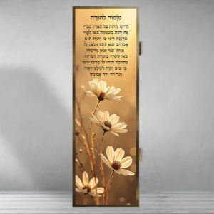 כיסוי ארון חשמל-מזמור לתודה