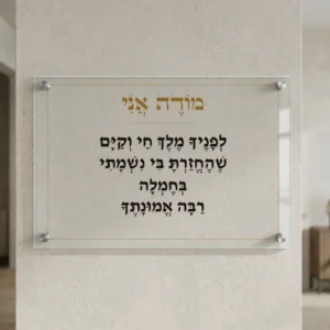 מודה אני על זכוכית — רוחב 60 וגובה 40 ס״מ, ארבעה ספייסרים בצבע כסף; הדמיה